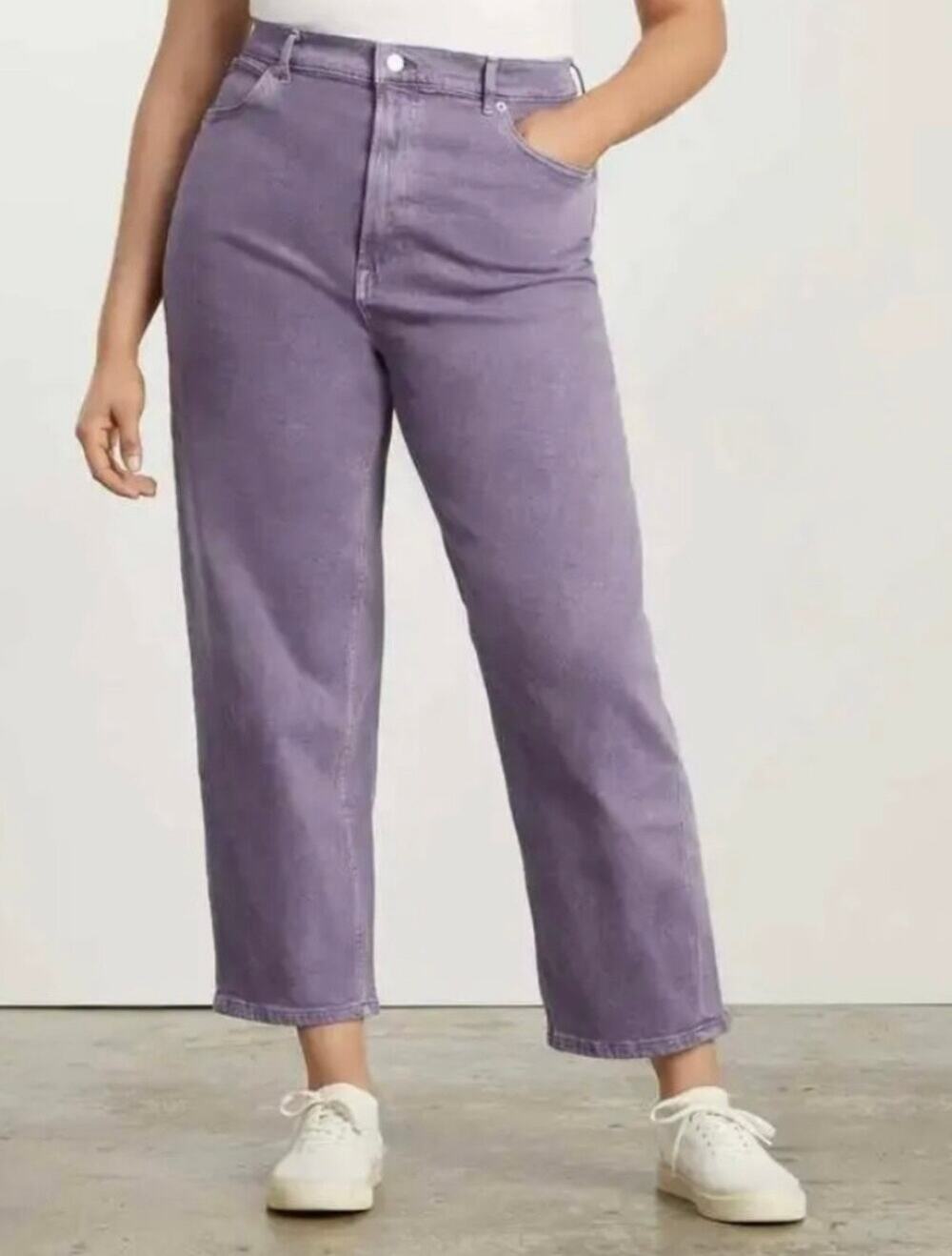 Everlane The Way High Jean Organic Cotton High Rise Straight Leg Stretch Size26R